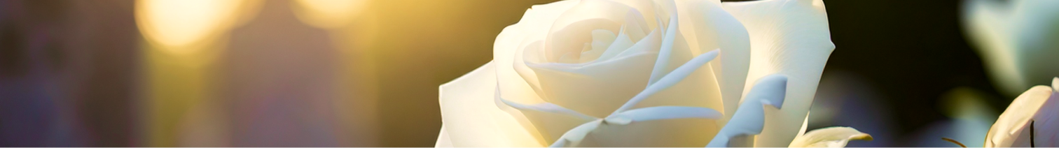 Sala del Commiato - Ba.mi.O.F Onoranze Funebri